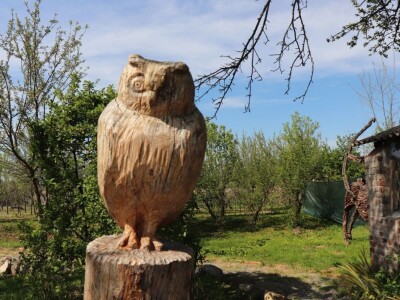 Udruga Arteco Pavletić