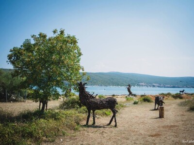 Udruga Arteco Pavletić