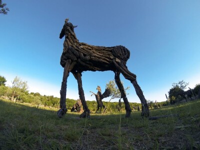 Udruga Arteco Pavletić