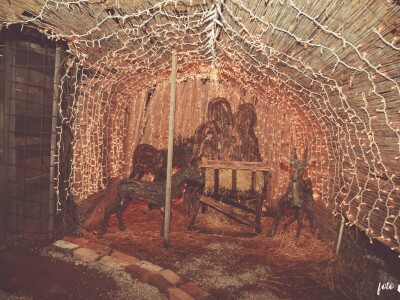 Udruga Arteco Pavletić