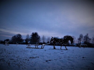 Udruga Arteco Pavletić