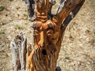 Udruga Arteco Pavletić