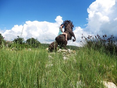 Udruga Arteco Pavletić