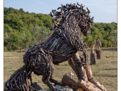 Udruga Arteco Pavletić