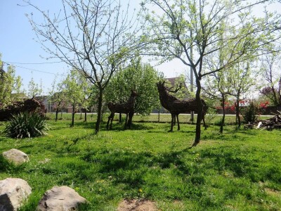 Udruga Arteco Pavletić