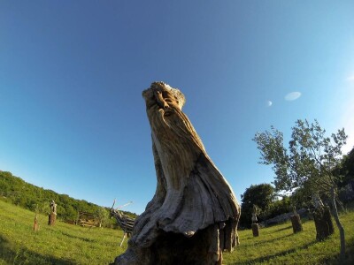 Udruga Arteco Pavletić