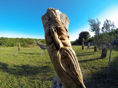 Udruga Arteco Pavletić