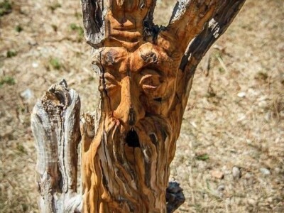 Udruga Arteco Pavletić