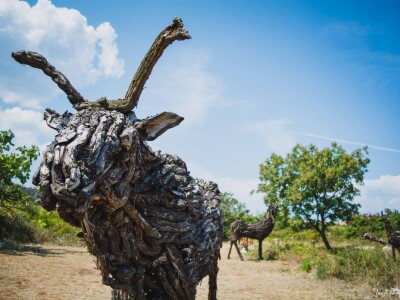 Udruga Arteco Pavletić