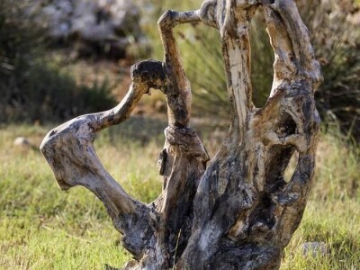 Udruga Arteco Pavletić