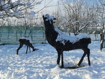 Udruga Arteco Pavletić