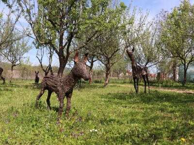 Udruga Arteco Pavletić