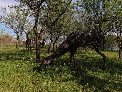 Udruga Arteco Pavletić