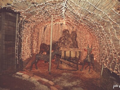 Udruga Arteco Pavletić