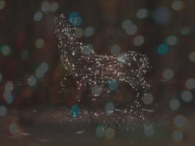 Udruga Arteco Pavletić