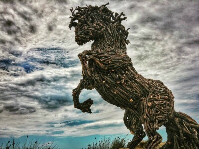 Udruga Arteco Pavletić