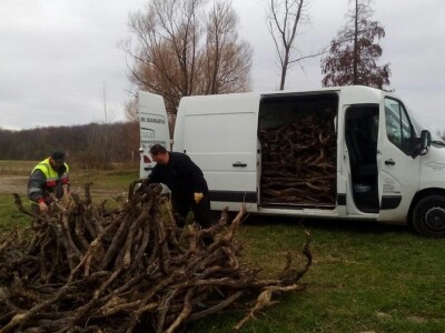 Udruga Arteco Pavletić