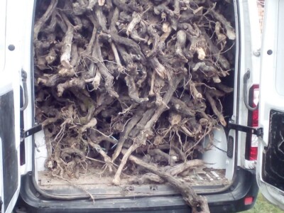 Udruga Arteco Pavletić