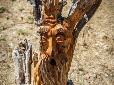 Udruga Arteco Pavletić