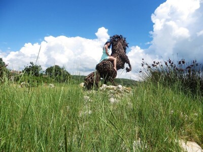 Udruga Arteco Pavletić