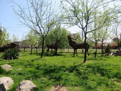 Udruga Arteco Pavletić