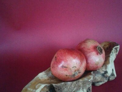 Udruga Arteco Pavletić