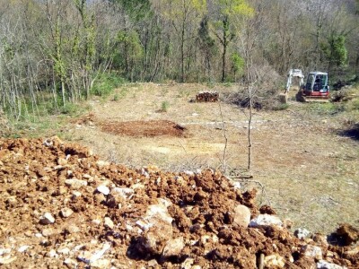 Udruga Brsečki češnjak