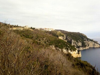 Udruga Brsečki češnjak