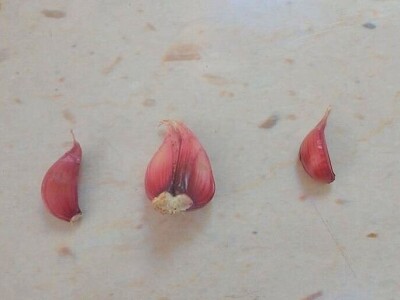 Udruga Brsečki češnjak