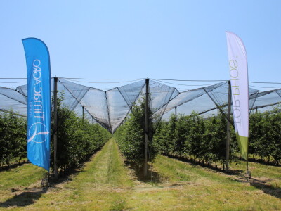 Udruga Crovita surađuje s tvrtkom Timac Agro