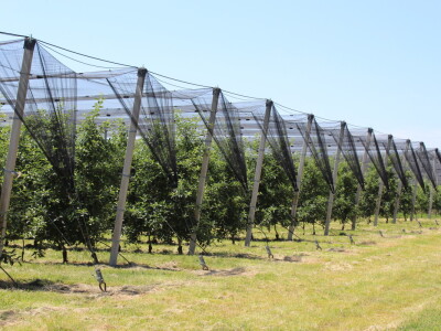 Udruga Crovita surađuje s tvrtkom Timac Agro