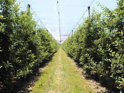 Udruga Crovita surađuje s tvrtkom Timac Agro