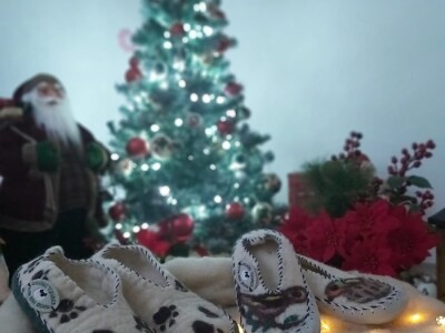 Udruga Goranske vunarice