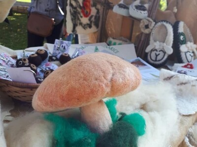 Udruga Goranske vunarice