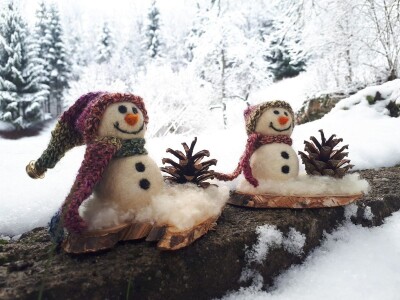 Udruga Goranske vunarice