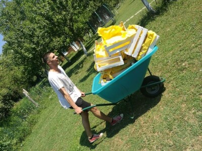 Udruga Pegaz - berba voća