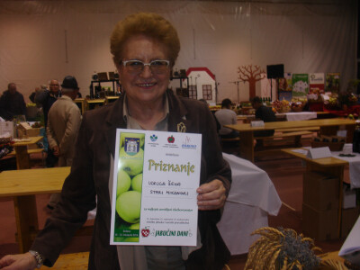 Udruga žena Stari Mikanovci