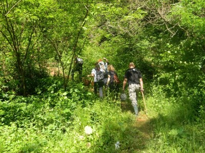 Udruženje gljivara ,,Gorun“: Ne uništavajte otrovne gljive jer su i one deo ekosistema Udruženje gljivara ,,Gorun“: Ne uništavajte otrovne gljive jer su i one deo ekosistema