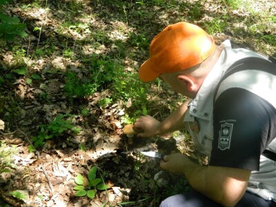 Udruženje gljivara ,,Gorun“: Ne uništavajte otrovne gljive jer su i one deo ekosistema Udruženje gljivara ,,Gorun“: Ne uništavajte otrovne gljive jer su i one deo ekosistema