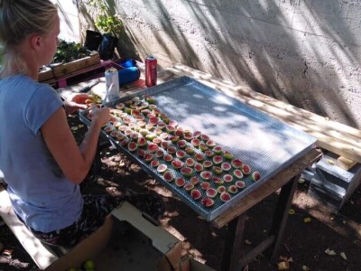 Udruženje građana Nešto Više