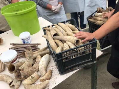 Udruženje građana Nešto Više