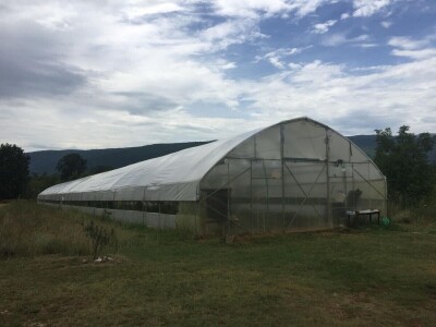 Udruženje građana Nešto Više