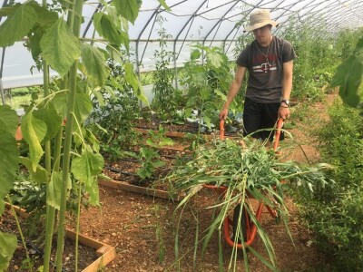 Udruženje građana Nešto Više