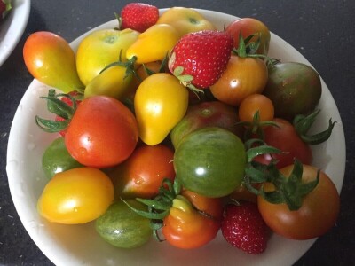 Udruženje građana Nešto Više