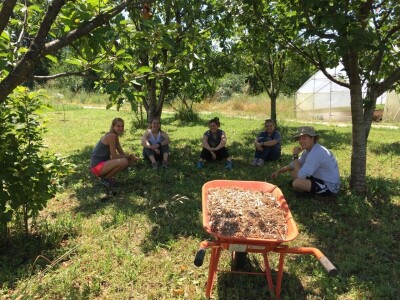 Udruženje građana Nešto Više