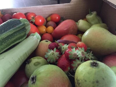 Udruženje građana Nešto Više