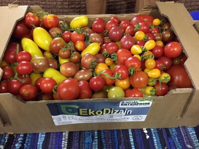 Udruženje građana Nešto Više