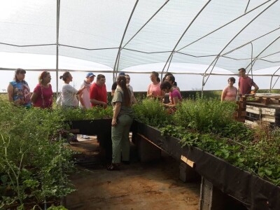 Udruženje građana Nešto Više