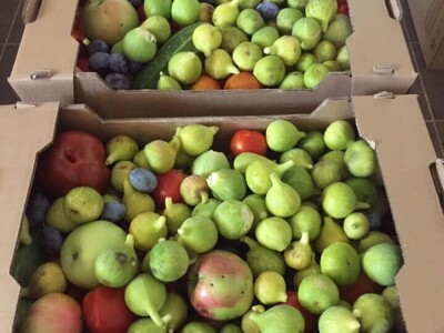 Udruženje građana Nešto Više