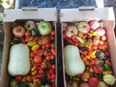 Udruženje građana Nešto Više